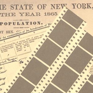 NY State Census Records 1790-1925 by Marilyn Douglas + Melinda Yates