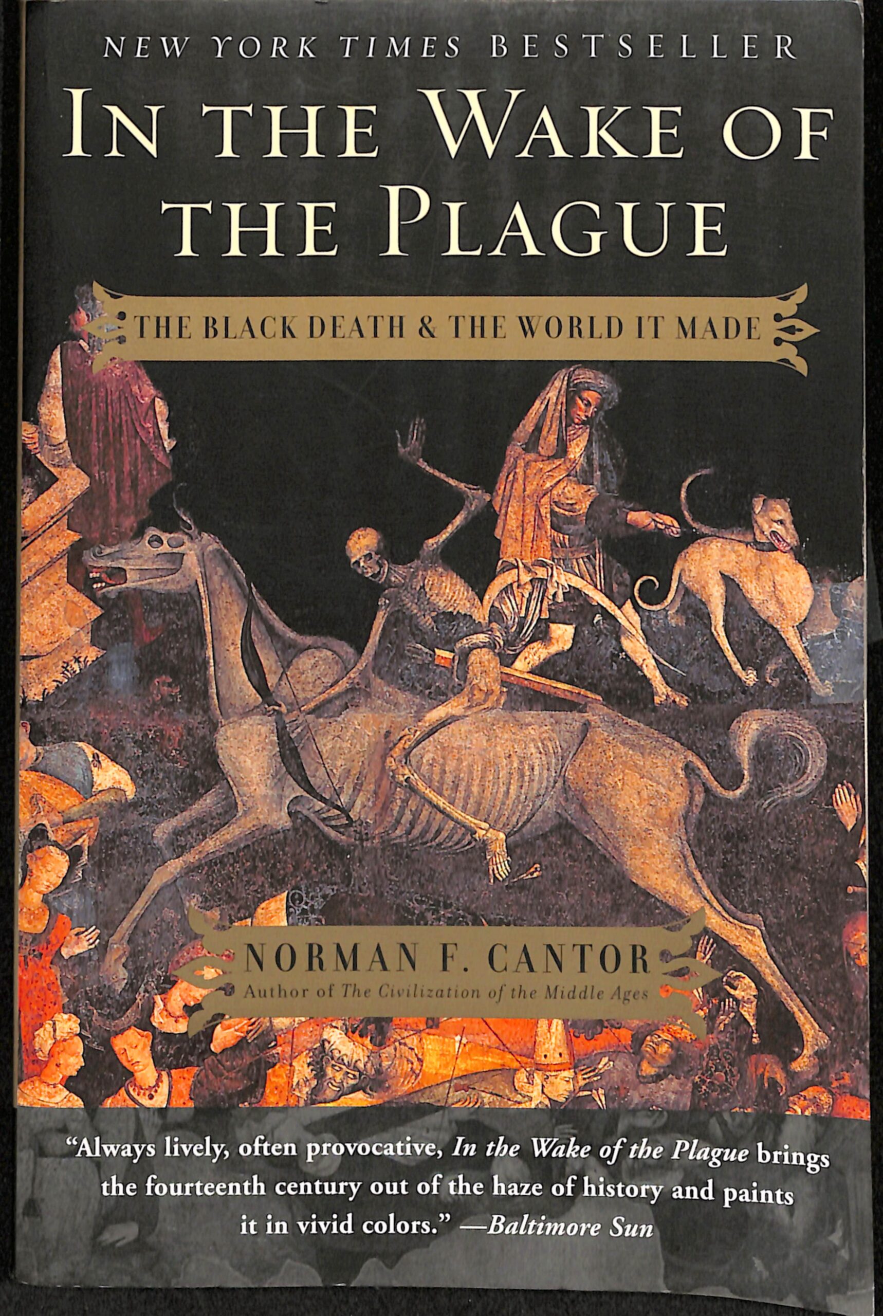 In the Wake of the Plague by Norman F Cantor